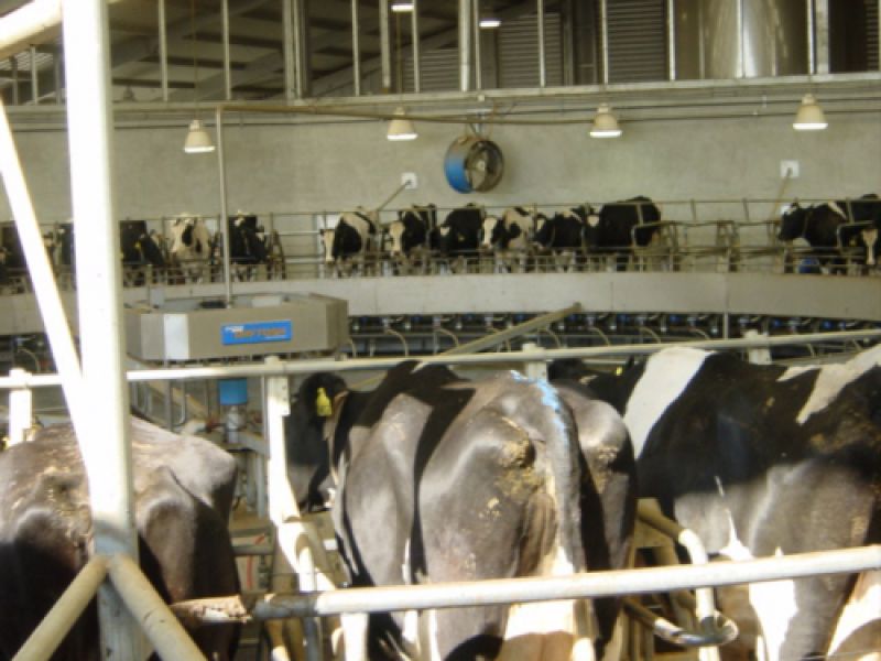 instalaciones de Oceva en Zamora instalaciones de Oceva en Zamora