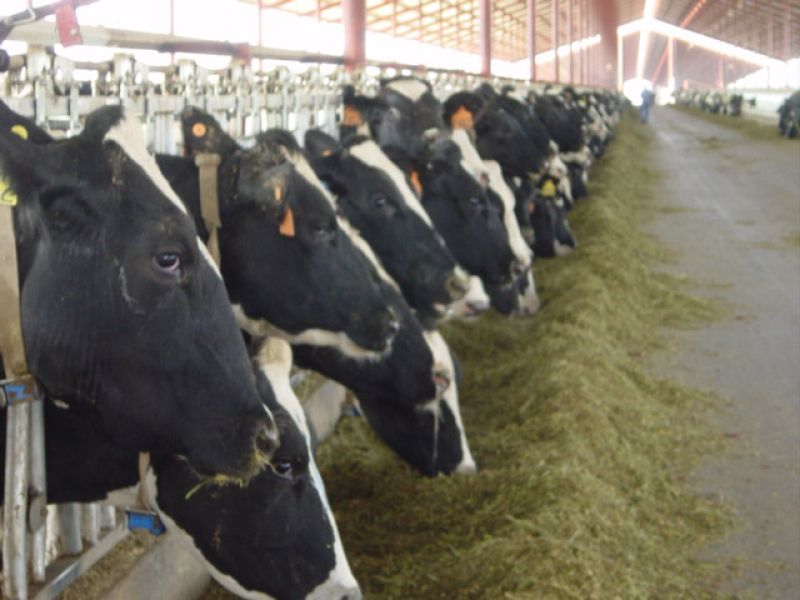 instalaciones de Oceva en Zamora instalaciones de Oceva en Zamora