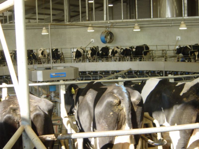 instalaciones de Oceva en Zamora instalaciones de Oceva en Zamora