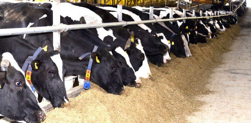 Conoce nuestros valores de empresa Conoce nuestros valores de empresa