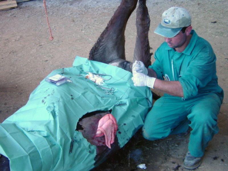 instalaciones de Oceva en Zamora instalaciones de Oceva en Zamora