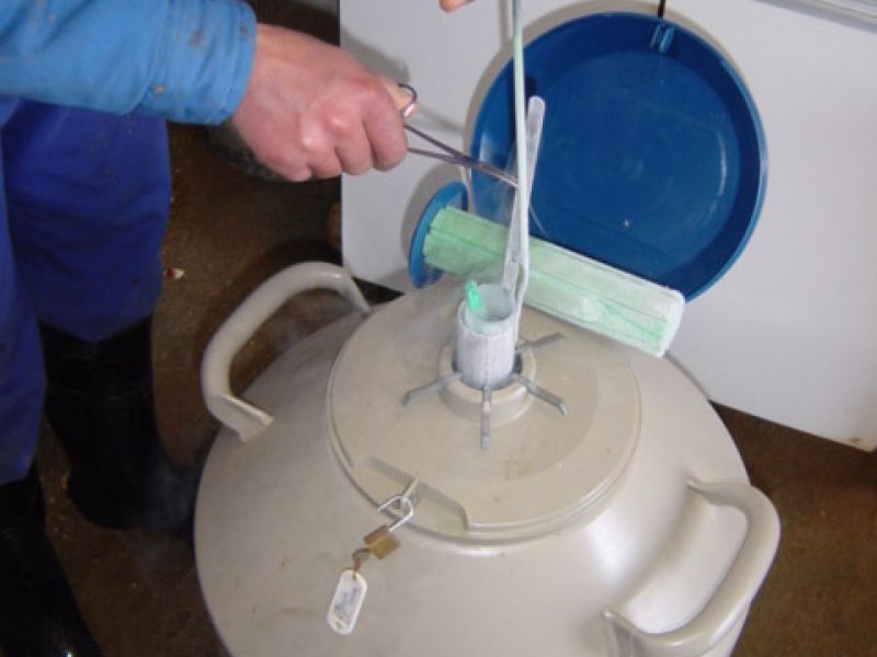 instalaciones de Oceva en Zamora instalaciones de Oceva en Zamora